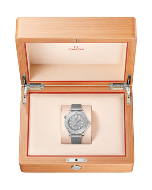 Omega Seamaster Diver 300m Mesh 42mm 210.30.42.20.06.002