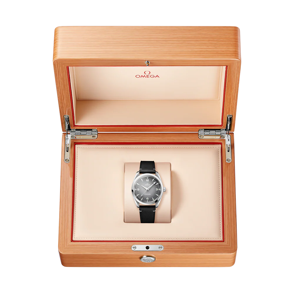 Omega Seamaster Railmaster grey dial 38mm 235.12.38.20.06.001